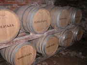 Botti di vino autoctono
Golpaja nelle botti
della Fattoria Petriolo
(6966 bytes)